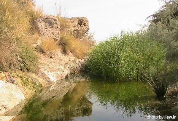 منطقه حفاظت‌شده هرمود